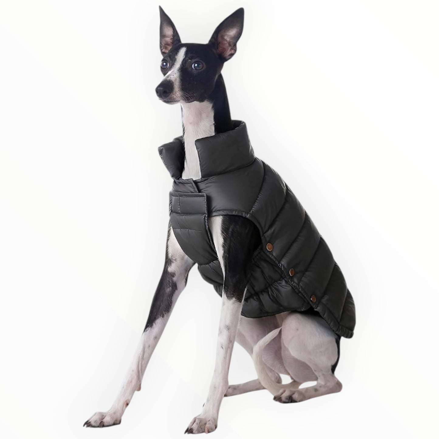 Space Lion Size 24 Large Dog Black Duck Down Puffer Jacket Water-Resistant Winter Coat NWT